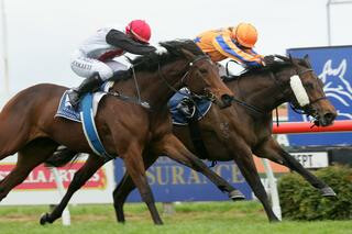 Avantage (inside) toughs it out to take the lead in the NZB Filly of the Year Series.
